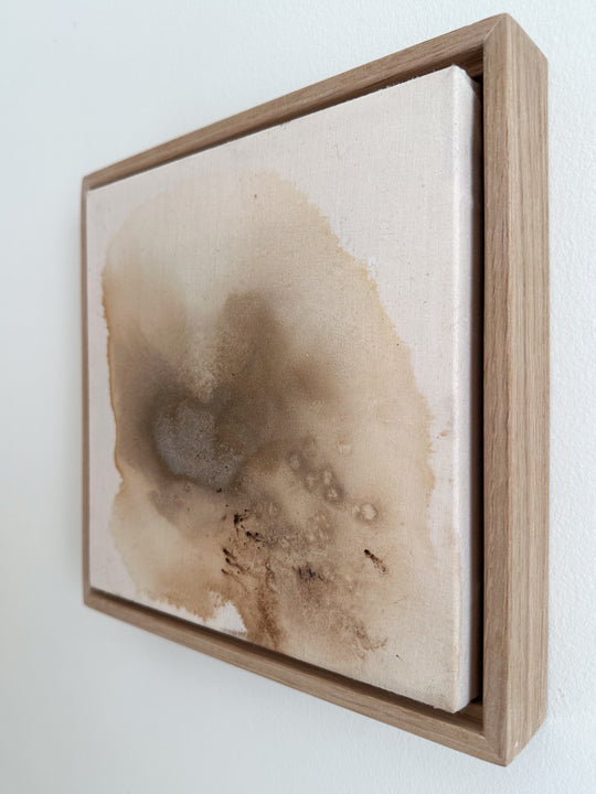 An exploration of salt & walnut crystals #2