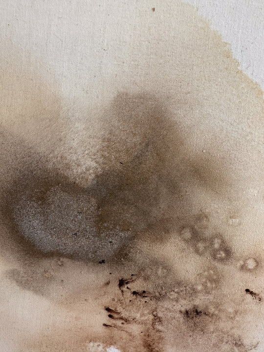 An exploration of salt & walnut crystals #2