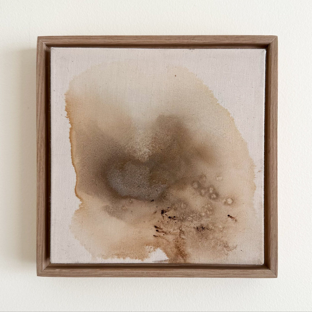 An exploration of salt & walnut crystals #2